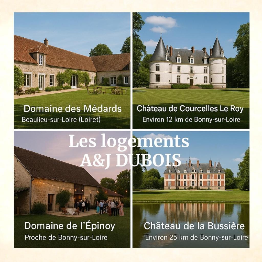A&J Family - Neuvy Sur Loire - Guedelon Villa Exteriör bild